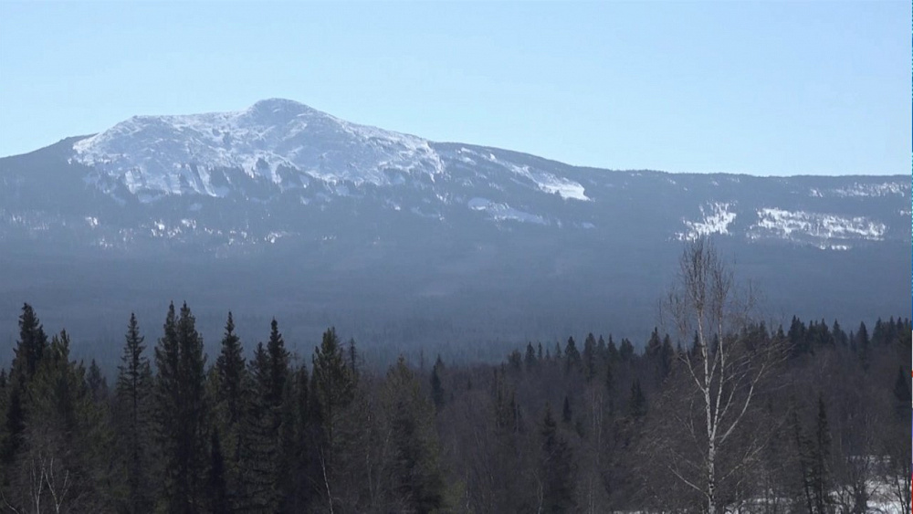 В "Зюраткуле" проснулся медведь