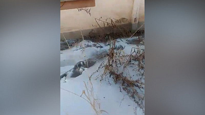 «Вода стоит под полом». На бесконечный коммунальный потоп пожаловались копейчане