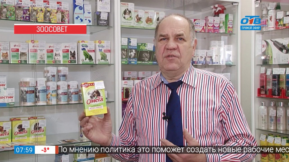 Ветеринарный врач Николай Калинин помогает выбрать товары в зоомагазине