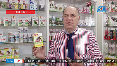 Ветеринарный врач Николай Калинин помогает выбрать товары в зоомагазине