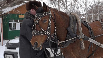 Лошадка Дашка развозит селян по избирательным участкам 