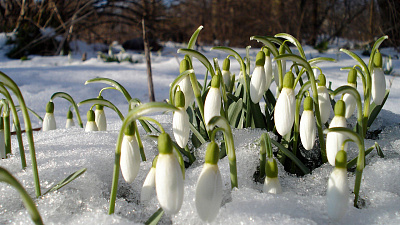 Сегодня день весеннего равноденствия