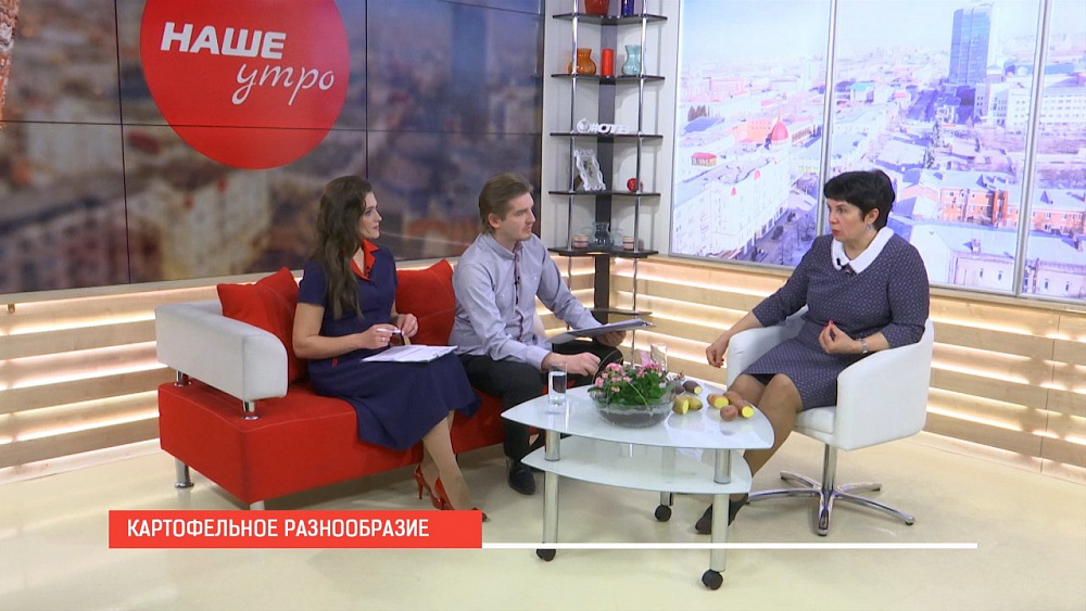Наше УТРО на ОТВ – картофельное разнообразие