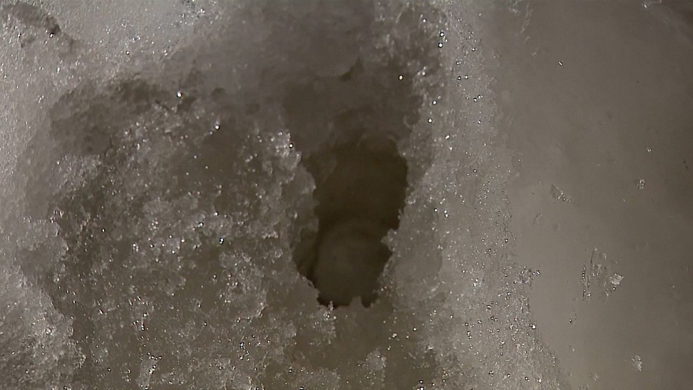 Эксперты рассказали, что делать со снегом на садовом участке весной