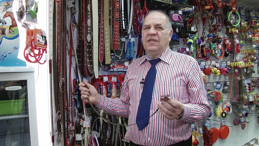 Ветеринар Николай Калинин рассказал, какие аксессуары можно подобрать питомцам