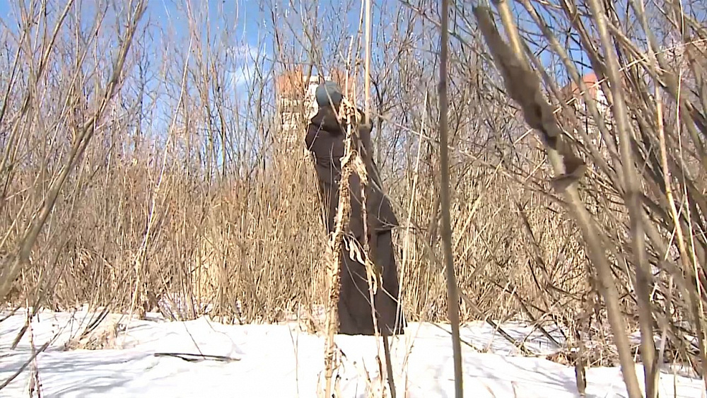 Из-за морозов в Челябинске не распустилась верба