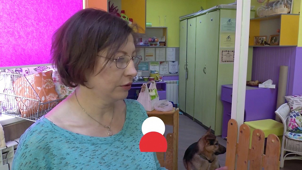 Наше УТРО на ОТВ – зоопсихолог