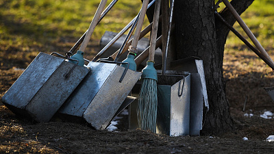 Штаб по проведению субботников назвал даты работ