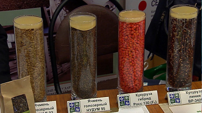 Аграриев области поддержат субсидиями