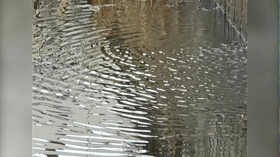 Загрязнений в озерах Иртяш и Сазоново не найдено