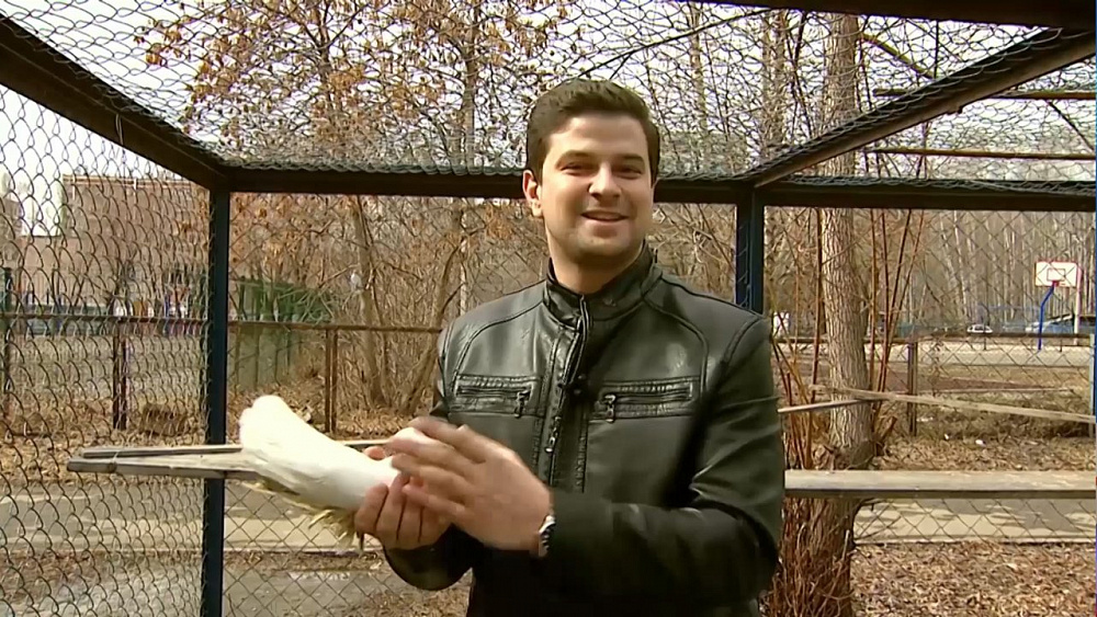 От пенсионера требуют снести голубятню