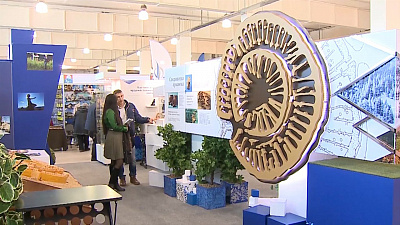 Наше УТРО на ОТВ – включение с выставки