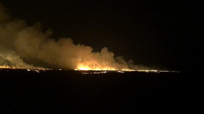 24 гектара леса тушили вечером в Сосновском районе