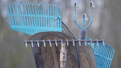 Бизнес присоединится к городским субботникам