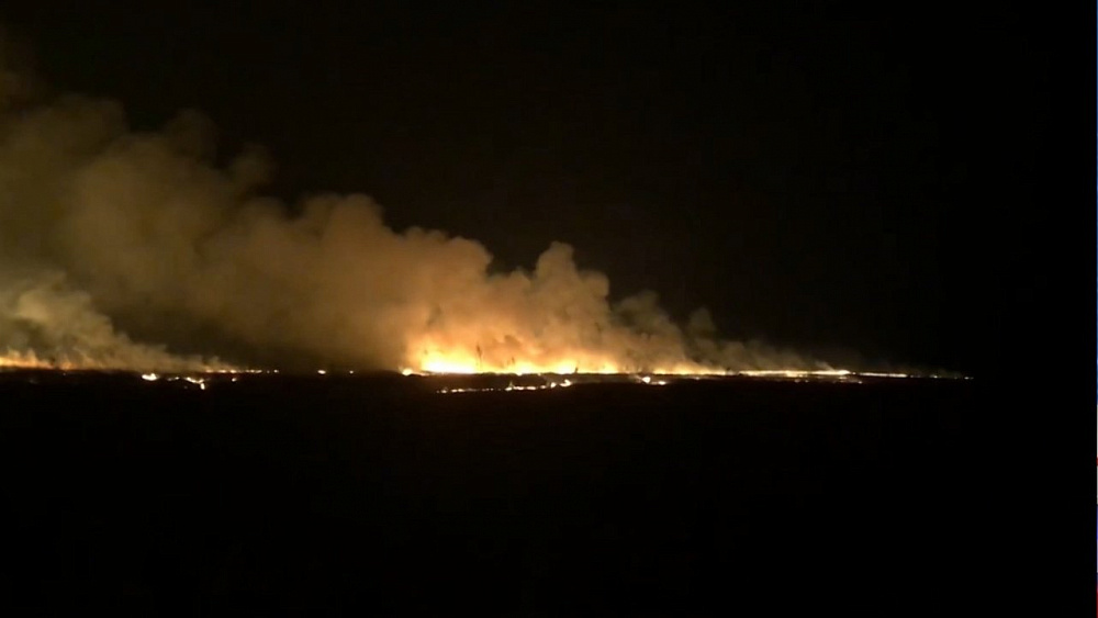 12 лесных пожаров зарегистрировали за сутки