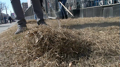 Сотрудники "НОВАТЭК-Челябинск" вышли на субботник