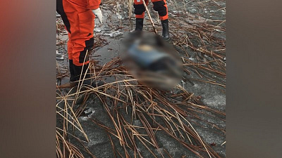 На озере Кундравы обнаружили труп женщины, пропавшей еще осенью