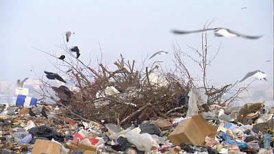 В Челябинске будут мыть контейнеры для мусора