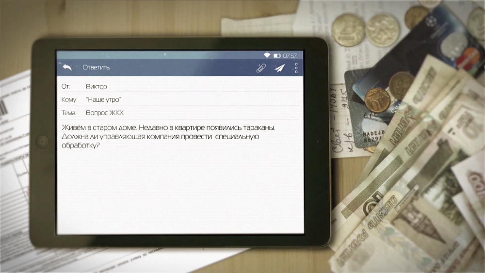 В студии «Нашего утра» выяснили, должна ли управляющая компания травить тараканов