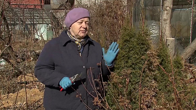 Эксперт рассказал, как спланировать первые садовые работы после зимы