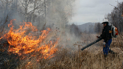 В Челябинской области введен особый противопожарный режим