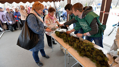 В Челябинске прошла очередная бесплатная раздача саженцев деревьев
