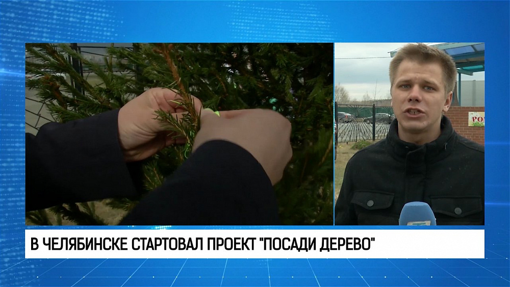 В Челябинске стартовал проект "Посади дерево"