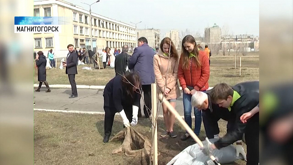 В Магнитогорске посадят полторы тысячи кленов