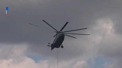 За сутки в области произошло 33 лесных пожара 