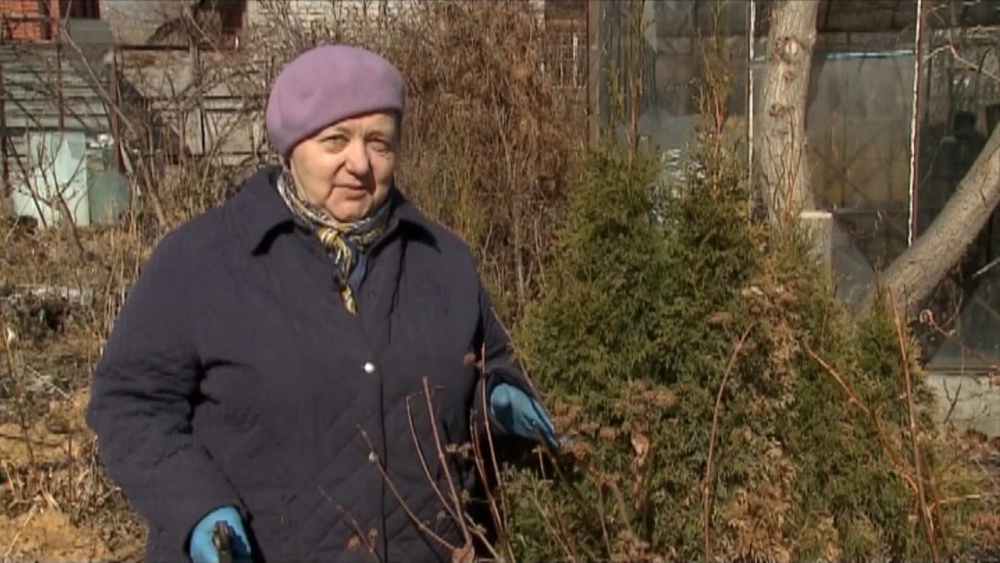 Наше УТРО на ОТВ — садовые истории