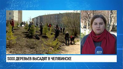 5000 деревьев высадят в Челябинске