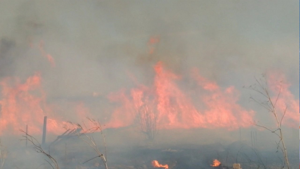 Брошенные окурки спровоцировали пожары 
