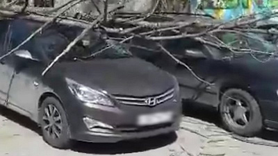 В центре Челябинска сухое дерево упало на две иномарки