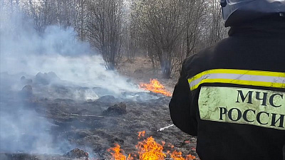 Для тушения природных пожаров привлечено около 300 человек