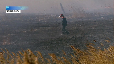 В Пласте выгорело 3500 гектаров земли