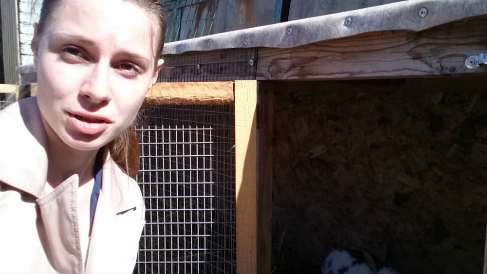 Происшествия дня 15.05.2018