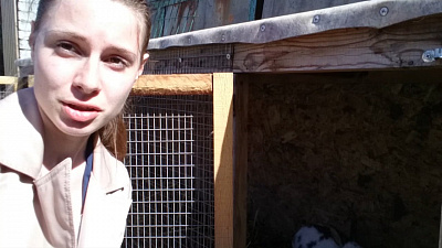 Происшествия дня 15.05.2018