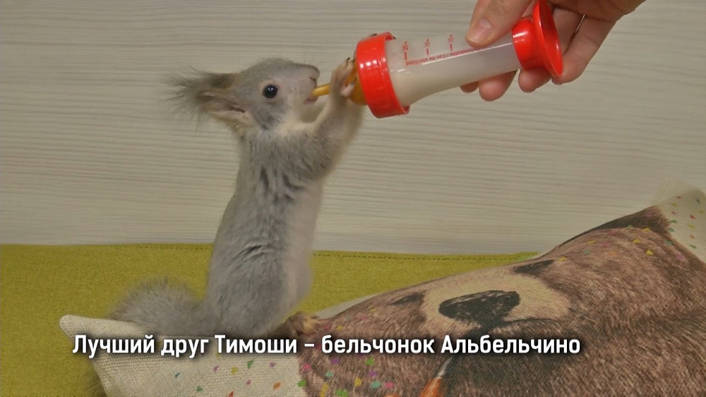 В челябинском зоопарке отметили День семьи