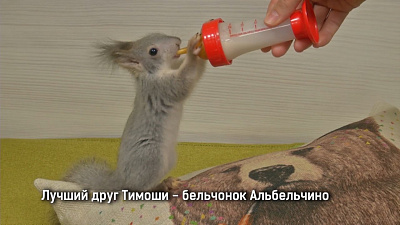 В челябинском зоопарке отметили День семьи