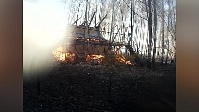 Случайные или умышленные поджоги стали причиной природных пожаров