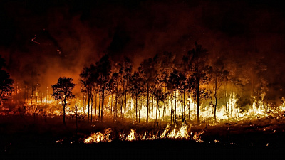 Причина всех пожаров на Южном Урале - поджоги и неосторожное обращение с огнем.
