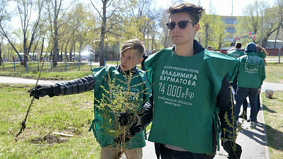 В Челябинске восстановили аллею легендарных даурских лиственниц