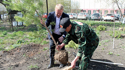 В центре Челябинска появился сосновый бор
