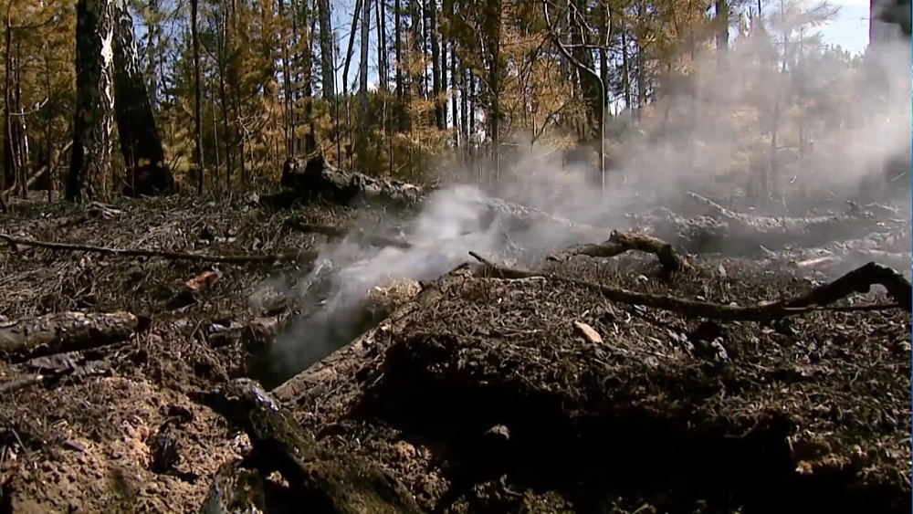 Под Кыштымом сгорело более 20 садовых домов
