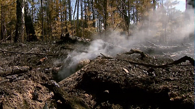 Под Кыштымом сгорело более 20 садовых домов