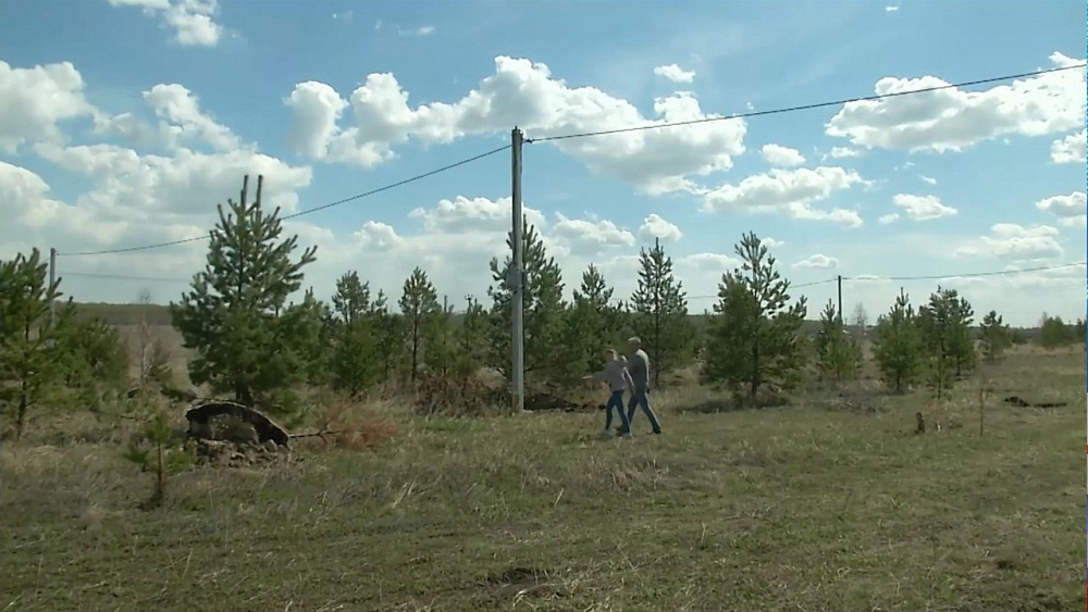 Многодетным семьям начали предоставлять землю