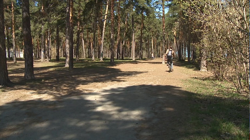 В Челябинске проходит акция «На работу на велосипеде»