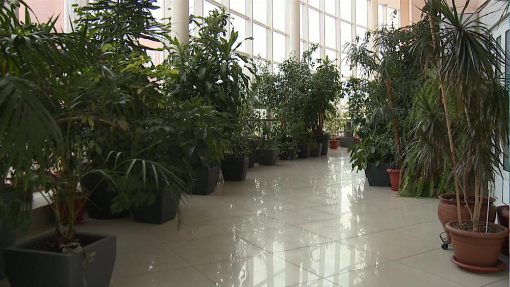 Министром экологии региона назначен Сергей Лихачев