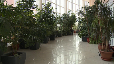 Министром экологии региона назначен Сергей Лихачев