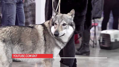 Наше УТРО на ОТВ – день в истории 22 мая 2018 г.